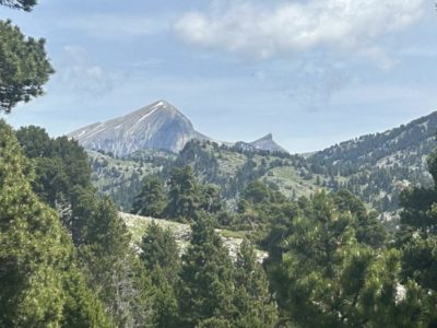 Romeyer/ Parc naturel du Vercors.