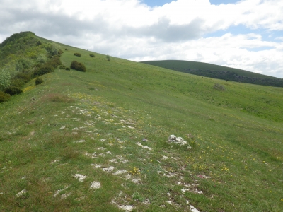 Paturages des Prés Alpes